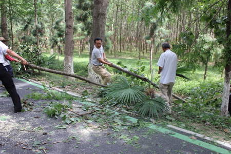 九游會老哥必備的交流社區_論壇帖吧