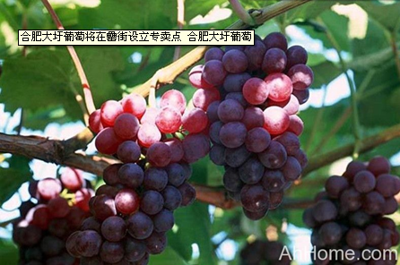 九游會老哥必備的交流社區(qū)_論壇帖吧