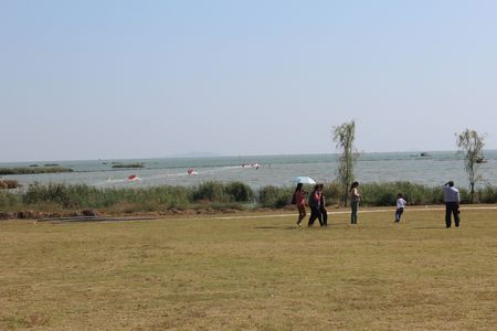 九游會老哥必備的交流社區_論壇帖吧