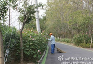 九游會老哥必備的交流社區_論壇帖吧