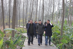 九游會(huì)老哥必備的交流社區(qū)_論壇帖吧