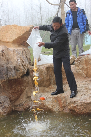 九游會老哥必備的交流社區_論壇帖吧