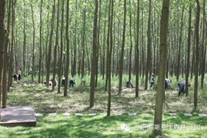 九游會(huì)老哥必備的交流社區(qū)_論壇帖吧