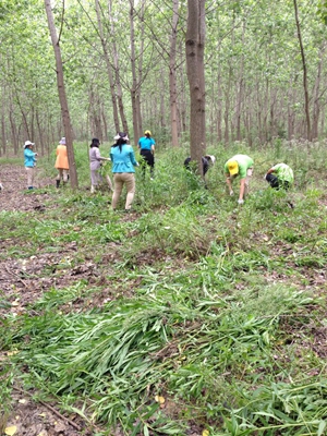 九游會(huì)老哥必備的交流社區(qū)_論壇帖吧