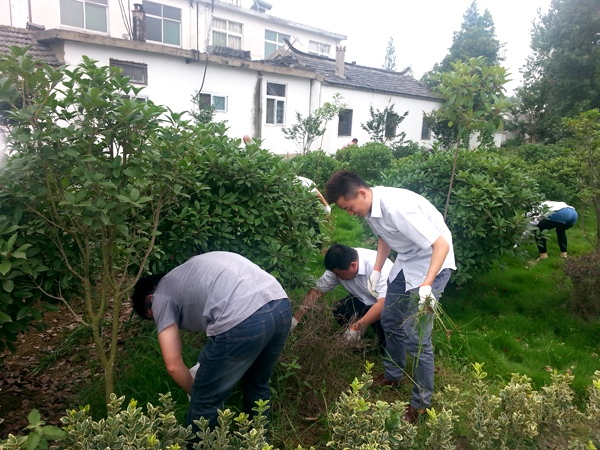 九游會老哥必備的交流社區_論壇帖吧