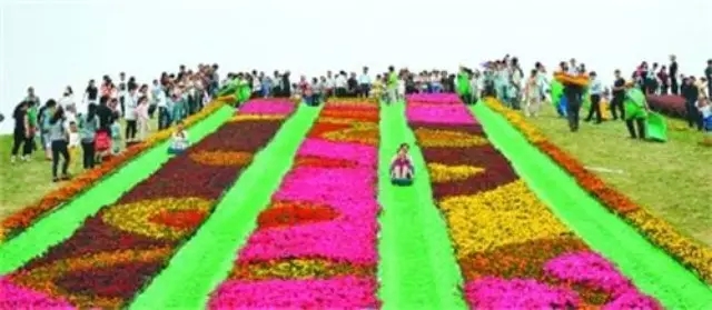 九游會老哥必備的交流社區_論壇帖吧