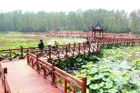 九游會老哥必備的交流社區_論壇帖吧