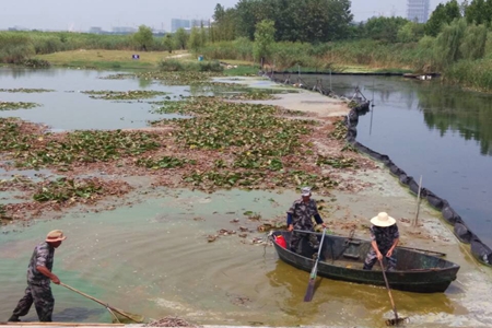 九游會老哥必備的交流社區_論壇帖吧