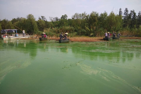 九游會老哥必備的交流社區_論壇帖吧