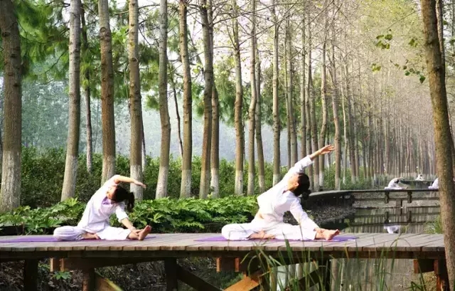 九游會(huì)老哥必備的交流社區(qū)_論壇帖吧