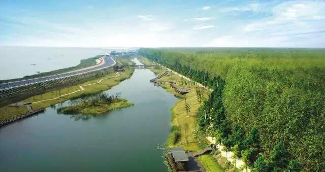 九游會(huì)老哥必備的交流社區(qū)_論壇帖吧