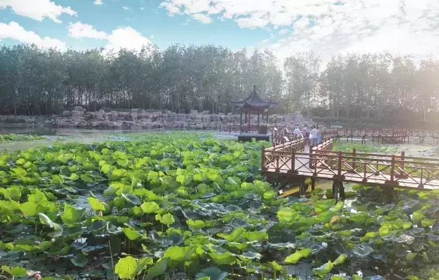 九游會(huì)老哥必備的交流社區(qū)_論壇帖吧