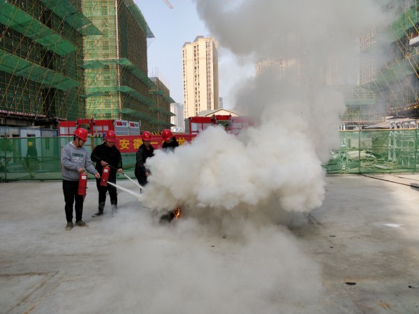 IMG_20190319_091415_.jpg IMG_20190319_091415_.jpg