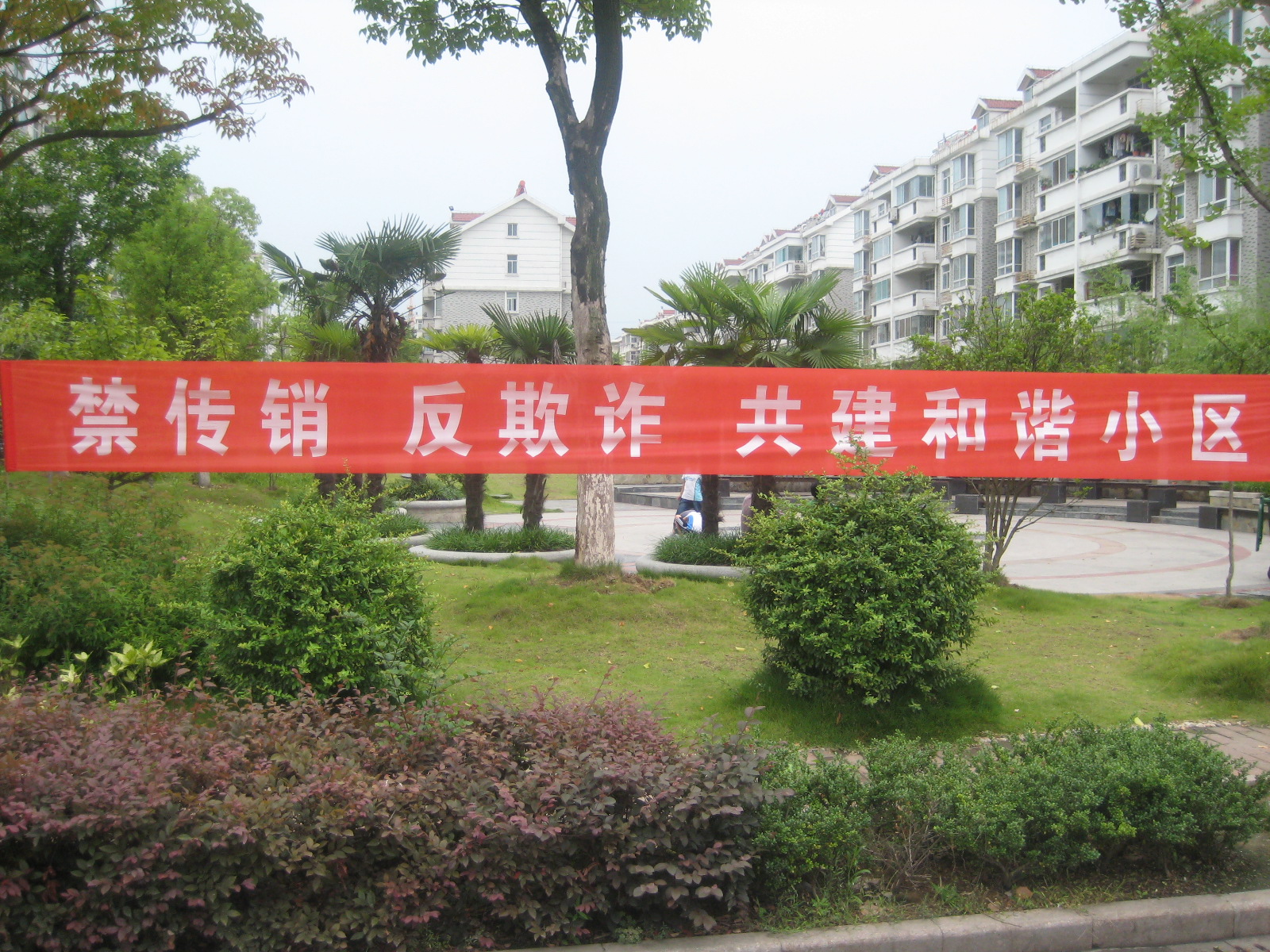 九游會老哥必備的交流社區_論壇帖吧