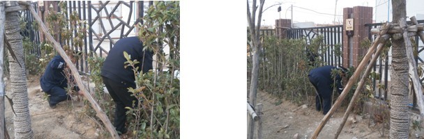 九游會(huì)老哥必備的交流社區(qū)_論壇帖吧