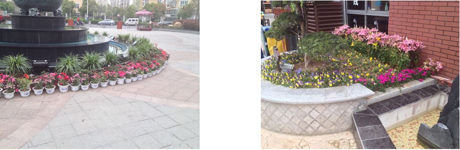 九游會老哥必備的交流社區(qū)_論壇帖吧