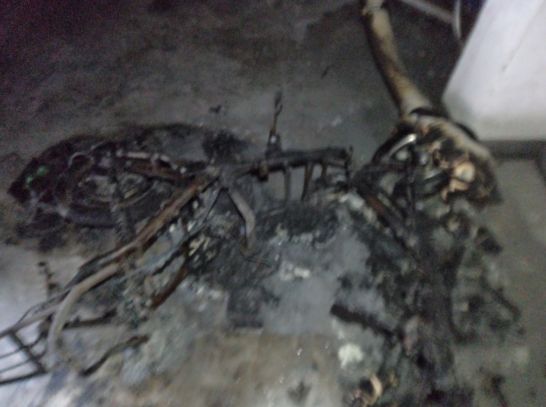 九游會老哥必備的交流社區_論壇帖吧