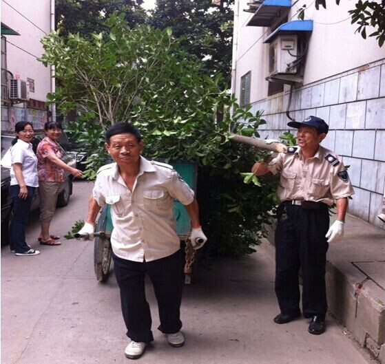 九游會老哥必備的交流社區_論壇帖吧