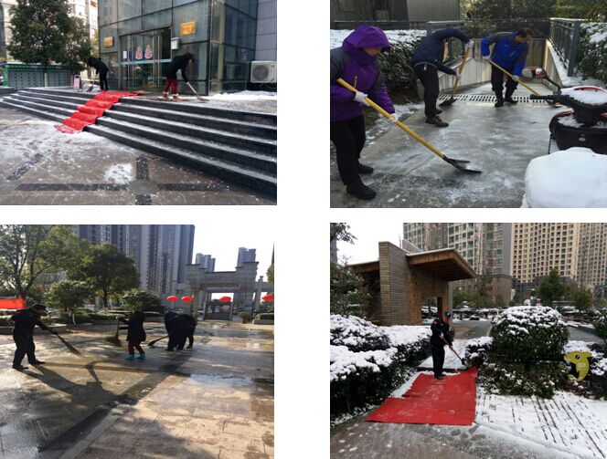 九游會老哥必備的交流社區_論壇帖吧