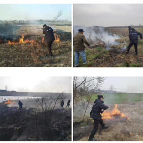 九游會(huì)老哥必備的交流社區(qū)_論壇帖吧