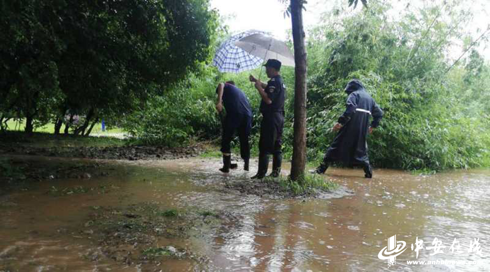 九游會(huì)老哥必備的交流社區(qū)_論壇帖吧