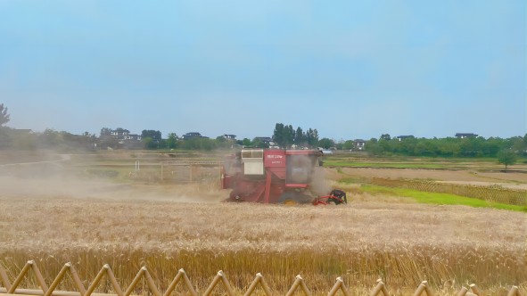 九游會老哥必備的交流社區_論壇帖吧