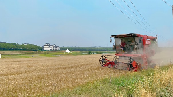 九游會老哥必備的交流社區_論壇帖吧