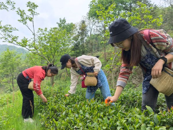 九游會老哥必備的交流社區(qū)_論壇帖吧