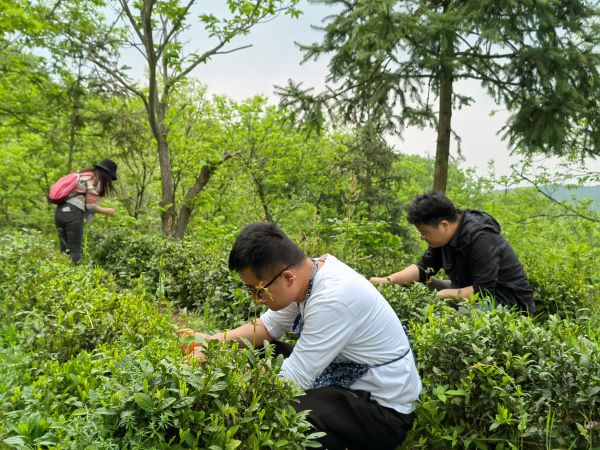 九游會老哥必備的交流社區(qū)_論壇帖吧