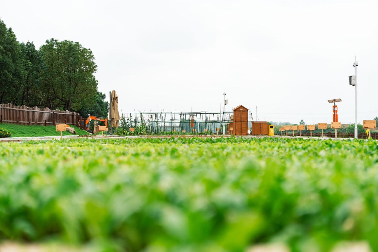 九游會老哥必備的交流社區_論壇帖吧