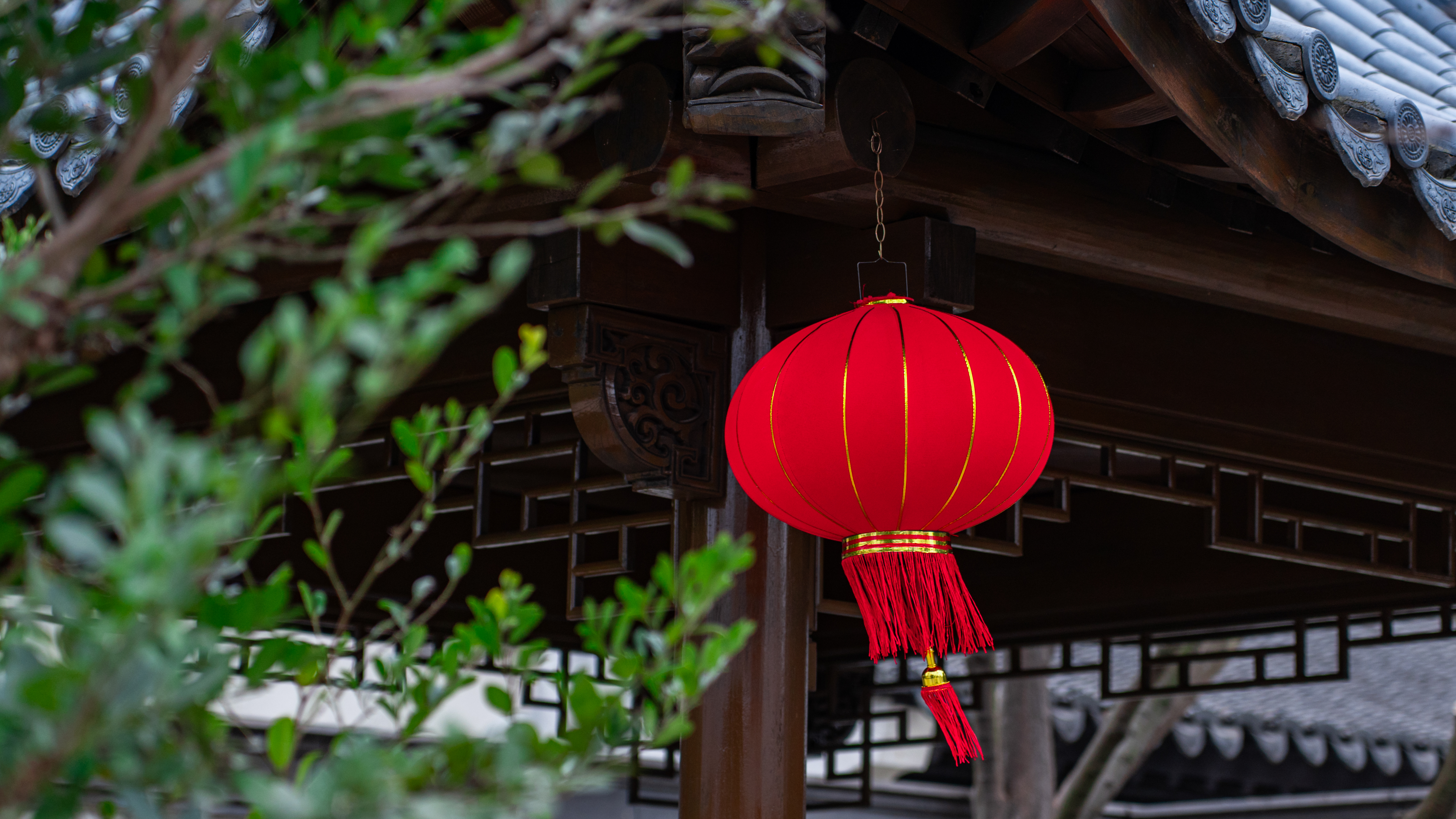 九游會老哥必備的交流社區_論壇帖吧